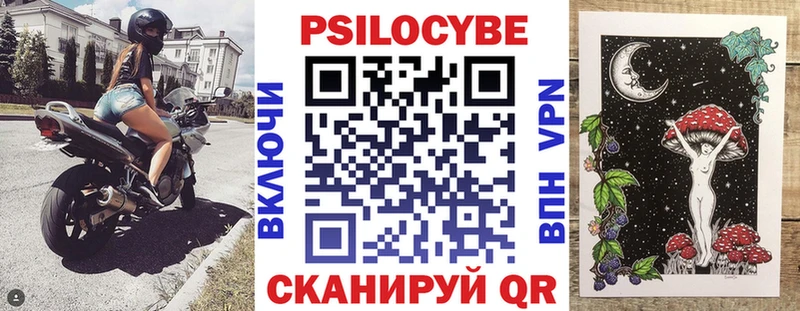 Галлюциногенные грибы Psilocybe купить наркотики цена Макарьев